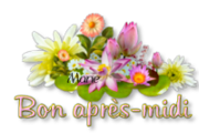 Fleurs De Mon Amie Claude De Dax  3946213461